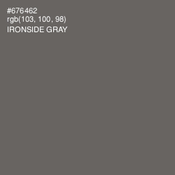 #676462 - Ironside Gray Color Image